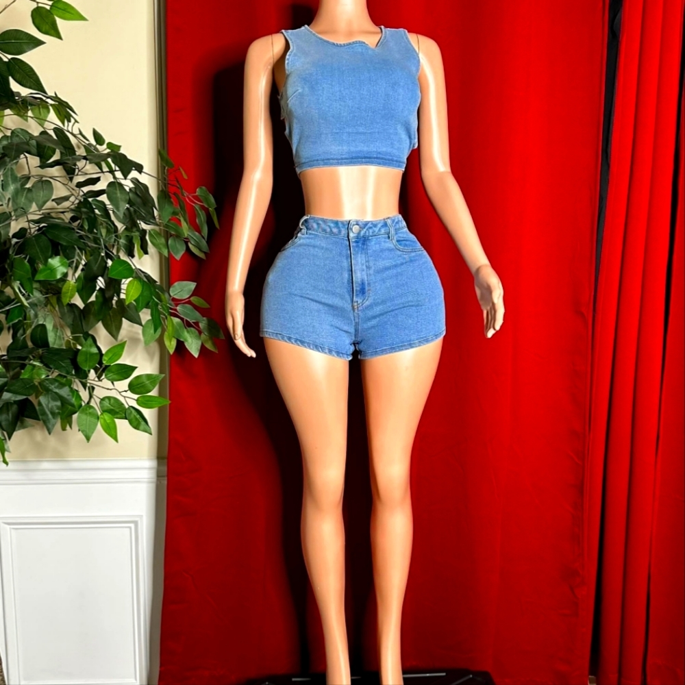 New (no tags) Super Cute Stretch Denim Shorts & Top (S, L)